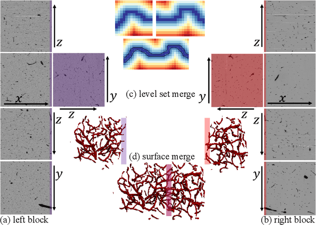 Figure 3 for GPU-Accelerated RSF Level Set Evolution for Large-Scale Microvascular Segmentation