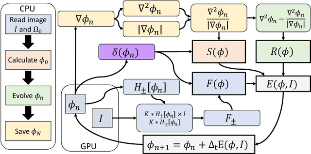 Figure 4 for GPU-Accelerated RSF Level Set Evolution for Large-Scale Microvascular Segmentation
