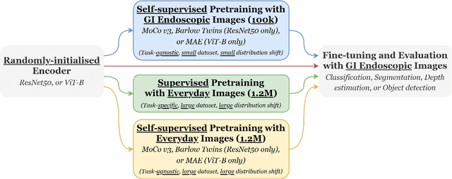 Figure 1 for A Study on Self-Supervised Pretraining for Vision Problems in Gastrointestinal Endoscopy