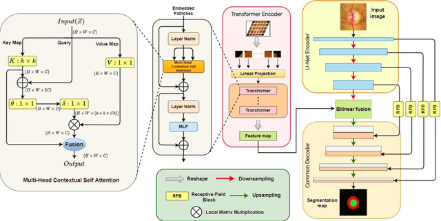 Figure 2 for UT-Net: Combining U-Net and Transformer for Joint Optic Disc and Cup Segmentation and Glaucoma Detection