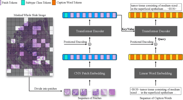 Figure 1 for What a Whole Slide Image Can Tell? Subtype-guided Masked Transformer for Pathological Image Captioning