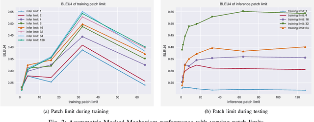 Figure 2 for What a Whole Slide Image Can Tell? Subtype-guided Masked Transformer for Pathological Image Captioning