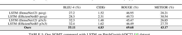 Figure 4 for What a Whole Slide Image Can Tell? Subtype-guided Masked Transformer for Pathological Image Captioning