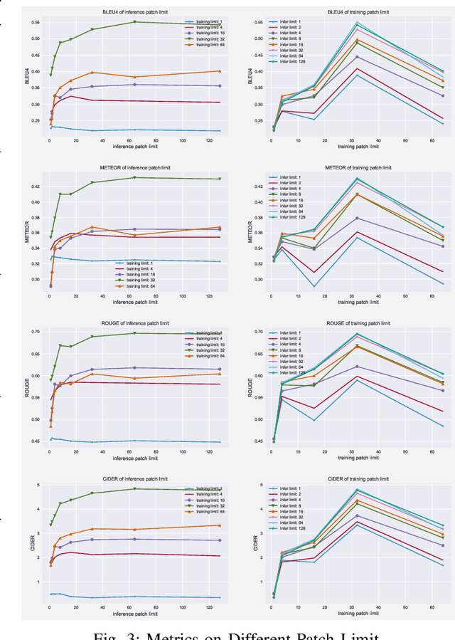 Figure 3 for What a Whole Slide Image Can Tell? Subtype-guided Masked Transformer for Pathological Image Captioning