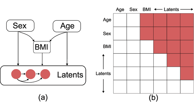 Figure 4 for MACAW: A Causal Generative Model for Medical Imaging