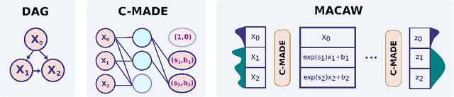 Figure 1 for MACAW: A Causal Generative Model for Medical Imaging