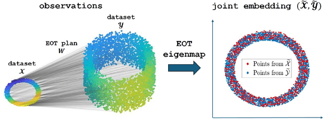 Figure 1 for Entropic Optimal Transport Eigenmaps for Nonlinear Alignment and Joint Embedding of High-Dimensional Datasets