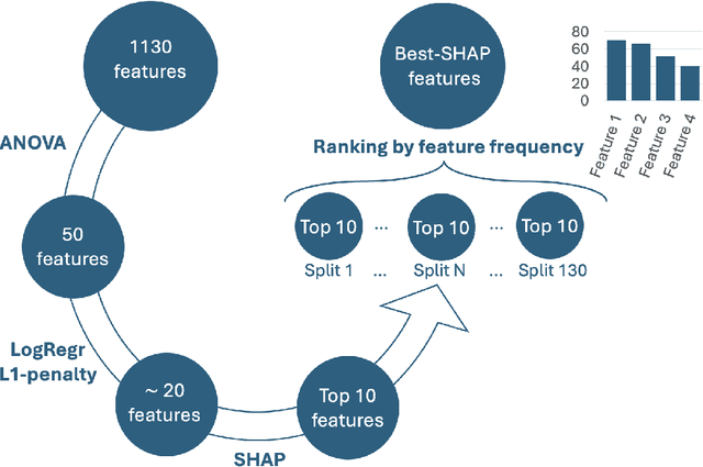 Figure 3 for Segmentation variability and radiomics stability for predicting Triple-Negative Breast Cancer subtype using Magnetic Resonance Imaging