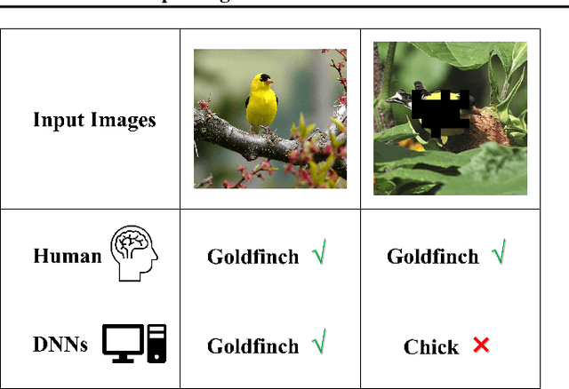 Figure 1 for NeuralOOD: Improving Out-of-Distribution Generalization Performance with Brain-machine Fusion Learning Framework