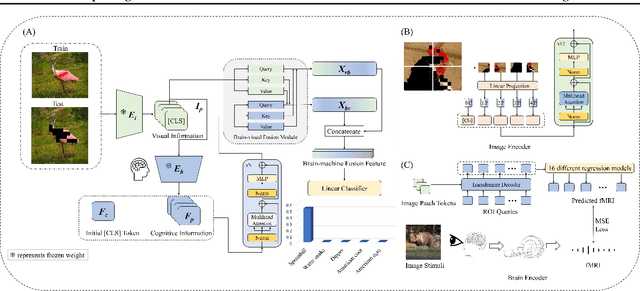 Figure 3 for NeuralOOD: Improving Out-of-Distribution Generalization Performance with Brain-machine Fusion Learning Framework