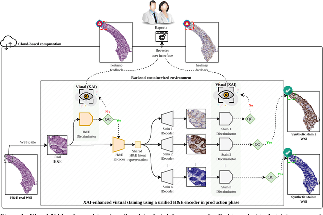 Figure 1 for Scalable, Trustworthy Generative Model for Virtual Multi-Staining from H&E Whole Slide Images