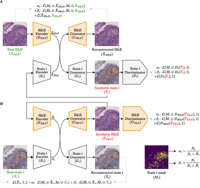 Figure 3 for Scalable, Trustworthy Generative Model for Virtual Multi-Staining from H&E Whole Slide Images