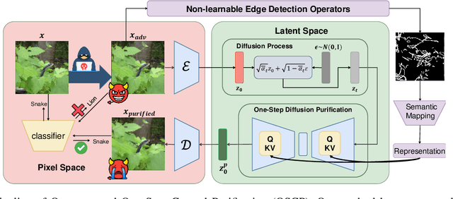 Figure 3 for Instant Adversarial Purification with Adversarial Consistency Distillation