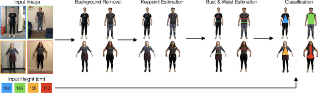 Figure 1 for Human Body Shape Classification Based on a Single Image