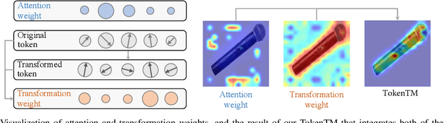 Figure 1 for Token Transformation Matters: Towards Faithful Post-hoc Explanation for Vision Transformer