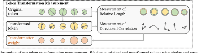 Figure 3 for Token Transformation Matters: Towards Faithful Post-hoc Explanation for Vision Transformer