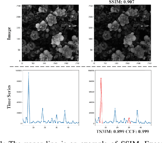 Figure 1 for TS3IM: Unveiling Structural Similarity in Time Series through Image Similarity Assessment Insights