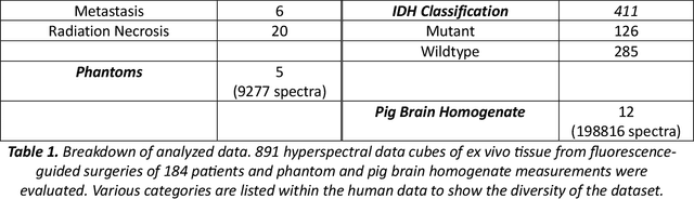 Figure 2 for Deep Learning-Based Correction and Unmixing of Hyperspectral Images for Brain Tumor Surgery