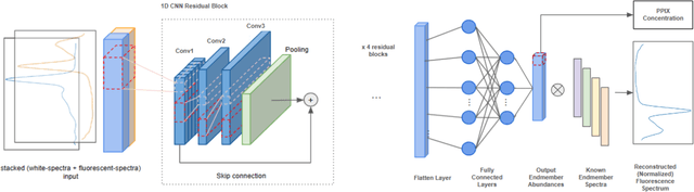 Figure 4 for Deep Learning-Based Correction and Unmixing of Hyperspectral Images for Brain Tumor Surgery