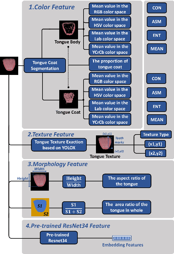 Figure 2 for A Non-Invasive Interpretable NAFLD Diagnostic Method Combining TCM Tongue Features