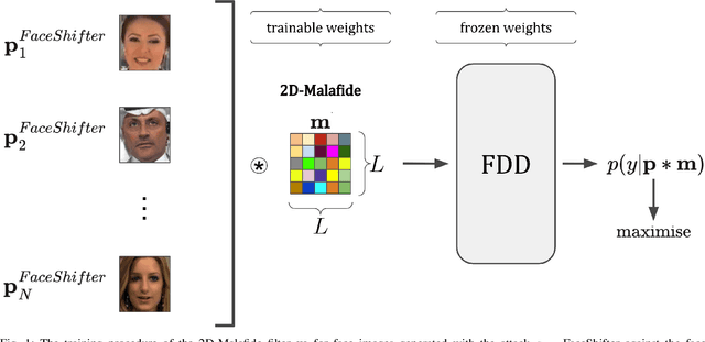 Figure 1 for 2D-Malafide: Adversarial Attacks Against Face Deepfake Detection Systems