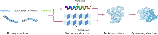 Figure 3 for Protein Language Models and Structure Prediction: Connection and Progression