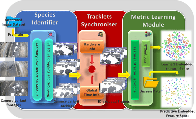 Figure 3 for MultiCamCows2024 -- A Multi-view Image Dataset for AI-driven Holstein-Friesian Cattle Re-Identification on a Working Farm