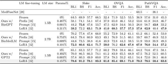 Figure 4 for Open-Ended Medical Visual Question Answering Through Prefix Tuning of Language Models