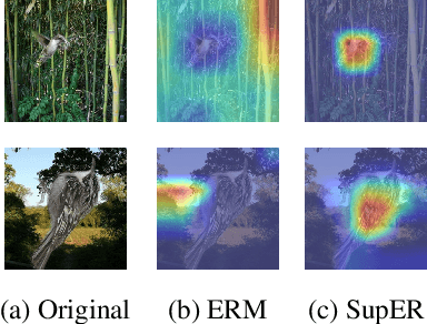 Figure 1 for Superclass-Guided Representation Disentanglement for Spurious Correlation Mitigation