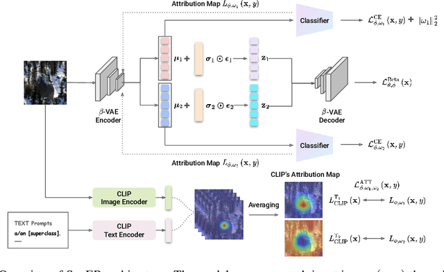 Figure 3 for Superclass-Guided Representation Disentanglement for Spurious Correlation Mitigation