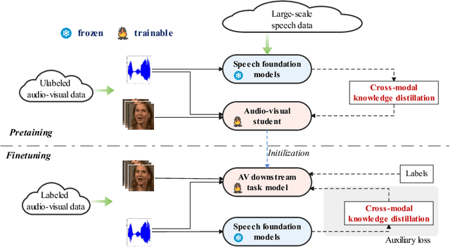 Figure 1 for Audio-Visual Representation Learning via Knowledge Distillation from Speech Foundation Models