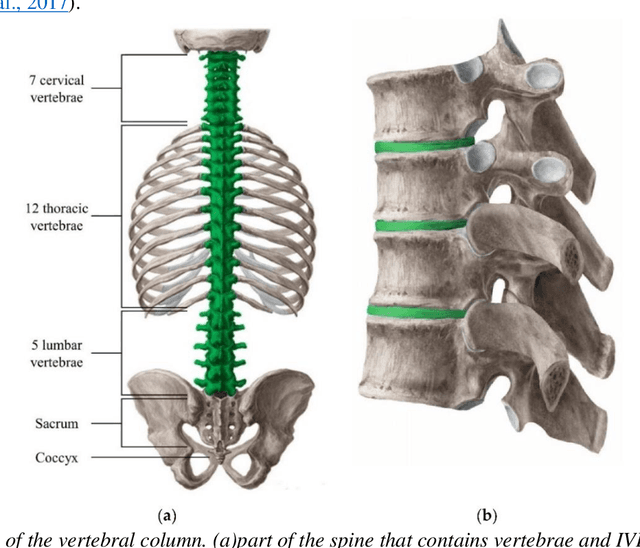 Figure 1 for Machine-agnostic Automated Lumbar MRI Segmentation using a Cascaded Model Based on Generative Neurons