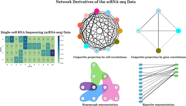 Figure 1 for Hypergraph Representations of scRNA-seq Data for Improved Clustering with Random Walks