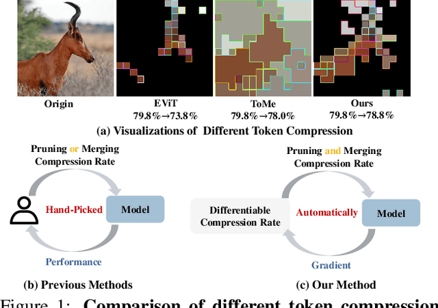 Figure 1 for DiffRate : Differentiable Compression Rate for Efficient Vision Transformers