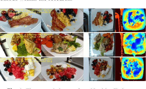 Figure 1 for DPF-Nutrition: Food Nutrition Estimation via Depth Prediction and Fusion