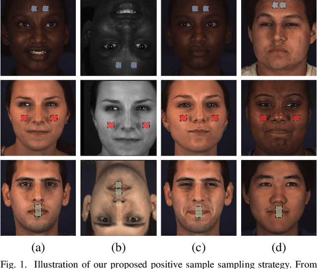 Figure 1 for Learning Contrastive Feature Representations for Facial Action Unit Detection