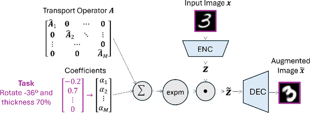 Figure 1 for MANGO: Disentangled Image Transformation Manifolds with Grouped Operators