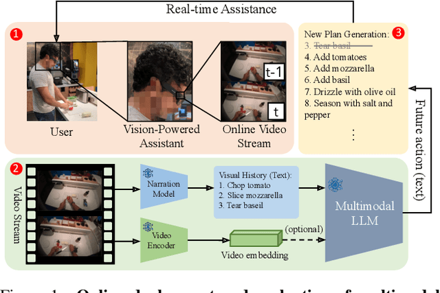 Figure 1 for User-in-the-loop Evaluation of Multimodal LLMs for Activity Assistance