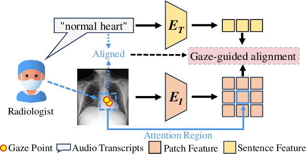 Figure 1 for Eye-gaze Guided Multi-modal Alignment Framework for Radiology