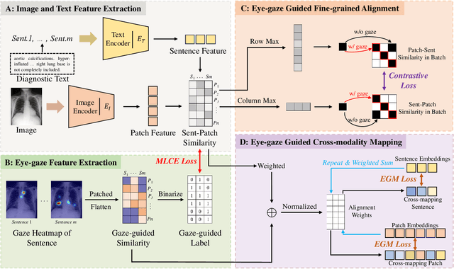 Figure 2 for Eye-gaze Guided Multi-modal Alignment Framework for Radiology