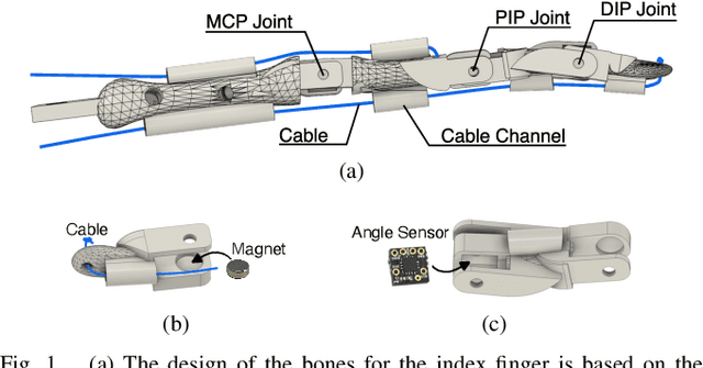 Figure 1 for A Modular Bio-inspired Robotic Hand with High Sensitivity