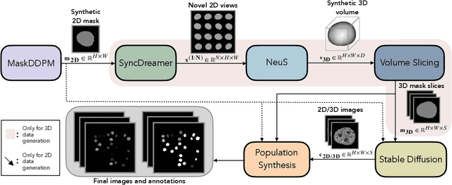 Figure 1 for Cascaded Diffusion Models for 2D and 3D Microscopy Image Synthesis to Enhance Cell Segmentation