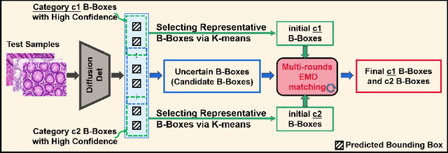 Figure 3 for TSBP: Improving Object Detection in Histology Images via Test-time Self-guided Bounding-box Propagation