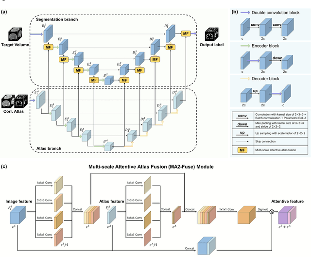 Figure 3 for AtlasSeg: Atlas Prior Guided Dual-U-Net for Cortical Segmentation in Fetal Brain MRI