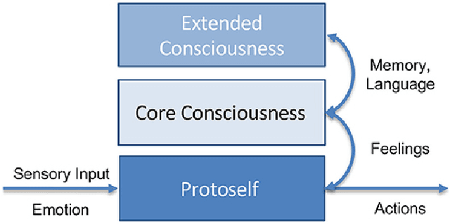 Figure 1 for Probing for Consciousness in Machines