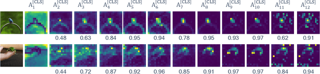 Figure 2 for Skip-Attention: Improving Vision Transformers by Paying Less Attention