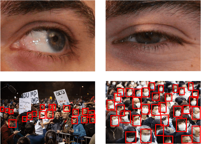 Figure 1 for Multiscale Dynamic Graph Representation for Biometric Recognition with Occlusions