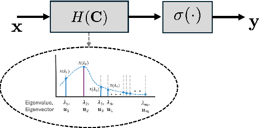 Figure 1 for Explainable Brain Age Gap Prediction in Neurodegenerative Conditions using coVariance Neural Networks