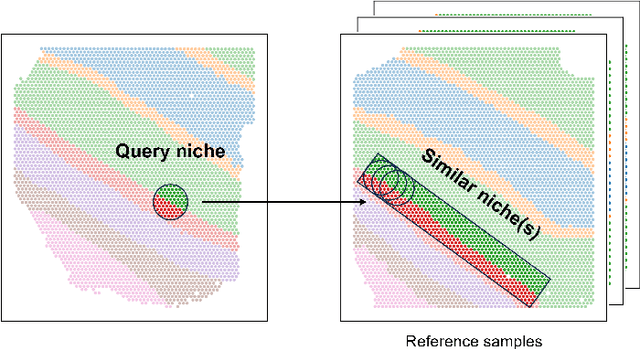 Figure 1 for QueST: Querying Functional and Structural Niches on Spatial Transcriptomics Data via Contrastive Subgraph Embedding