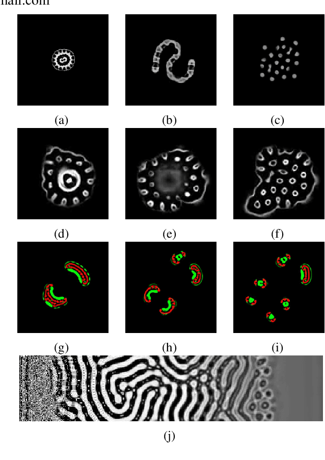 Figure 1 for Flow Lenia: Mass conservation for the study of virtual creatures in continuous cellular automata